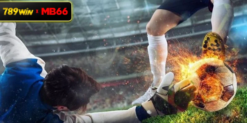 Ưu điểm nổi bật của sảnh thể thao CMD368 tại nhà cái 789WIN Ưu điểm nổi bật của sảnh thể thao CMD368 tại nhà cái 789WIN