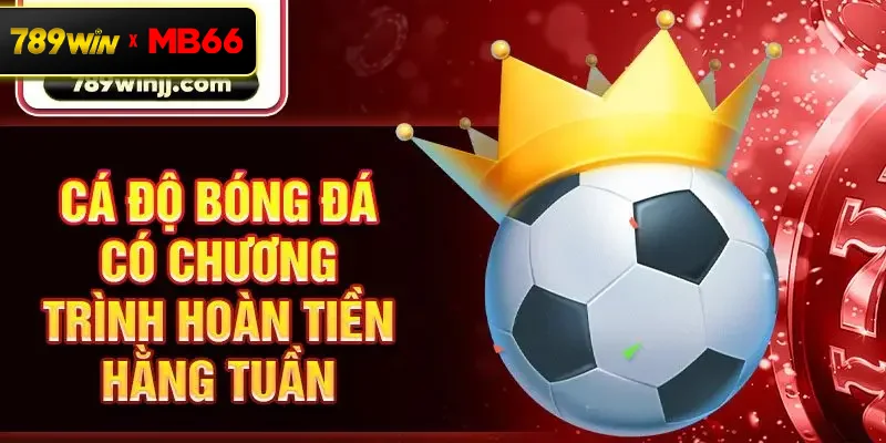 Cá độ bóng đá có chương trình hoàn tiền hằng tuần Cá độ bóng đá có chương trình hoàn tiền hằng tuần