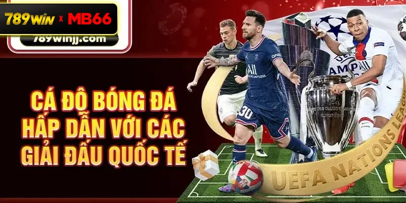 Cá độ bóng đá hấp dẫn với các giải đấu quốc tế Cá độ bóng đá hấp dẫn với các giải đấu quốc tế