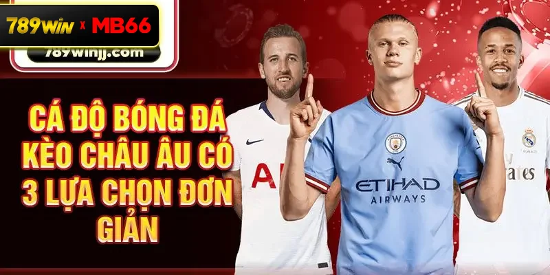 Cá độ bóng đá kèo châu Âu có 3 lựa chọn đơn giản Cá độ bóng đá kèo châu Âu có 3 lựa chọn đơn giản