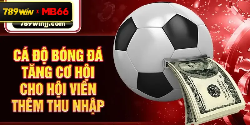 Cá độ bóng đá tăng cơ hội cho hội viên thêm thu nhập Cá độ bóng đá tăng cơ hội cho hội viên thêm thu nhập