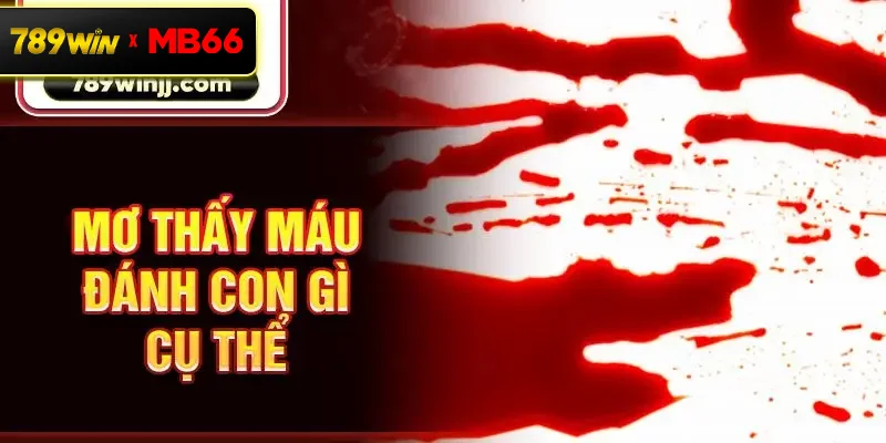 Mơ thấy máu đánh con gì cụ thể Mơ thấy máu đánh con gì cụ thể