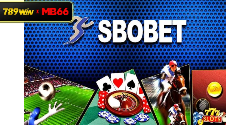 Tìm hiểu quy tắc chơi Sbobet 789WIN mới nhất cho người mới bắt đầu Tìm hiểu quy tắc chơi Sbobet 789WIN mới nhất cho người mới bắt đầu