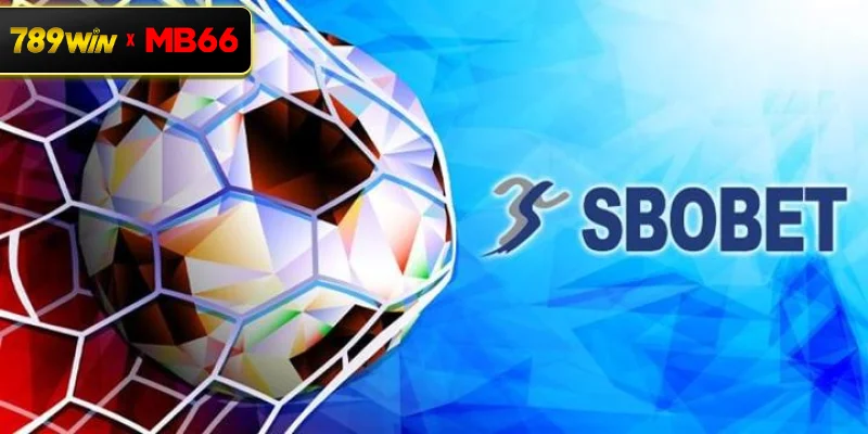 Sbobet 789WIN là gì? Thông tin chi tiết về sảnh thể thao nổi bật