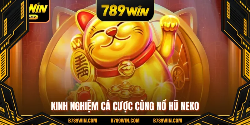 Kinh nghiệm cá cược cùng nổ hũ Neko Kinh nghiệm cá cược cùng nổ hũ Neko